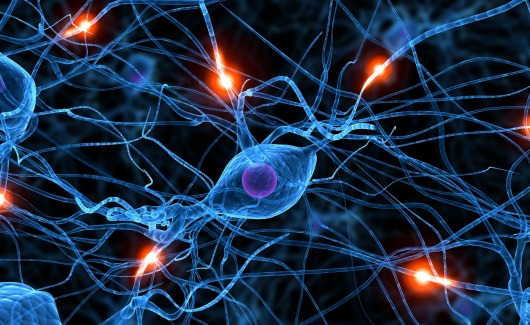 computadora de ibm imita la sinapsis de nuestro cerebro