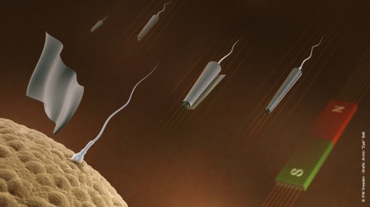 spermbot-drones-esperma-medicina
