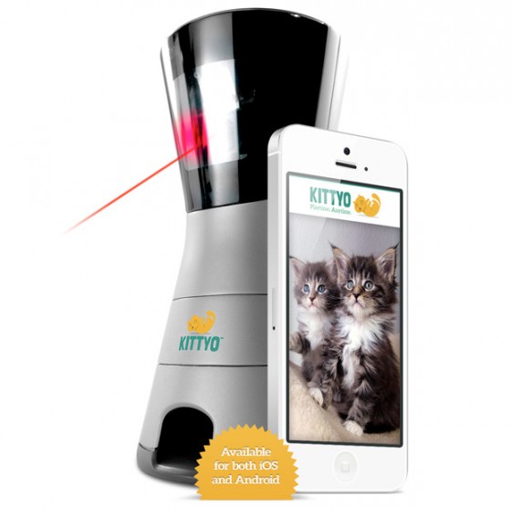 Kittyo: Un gadget para los cat lovers